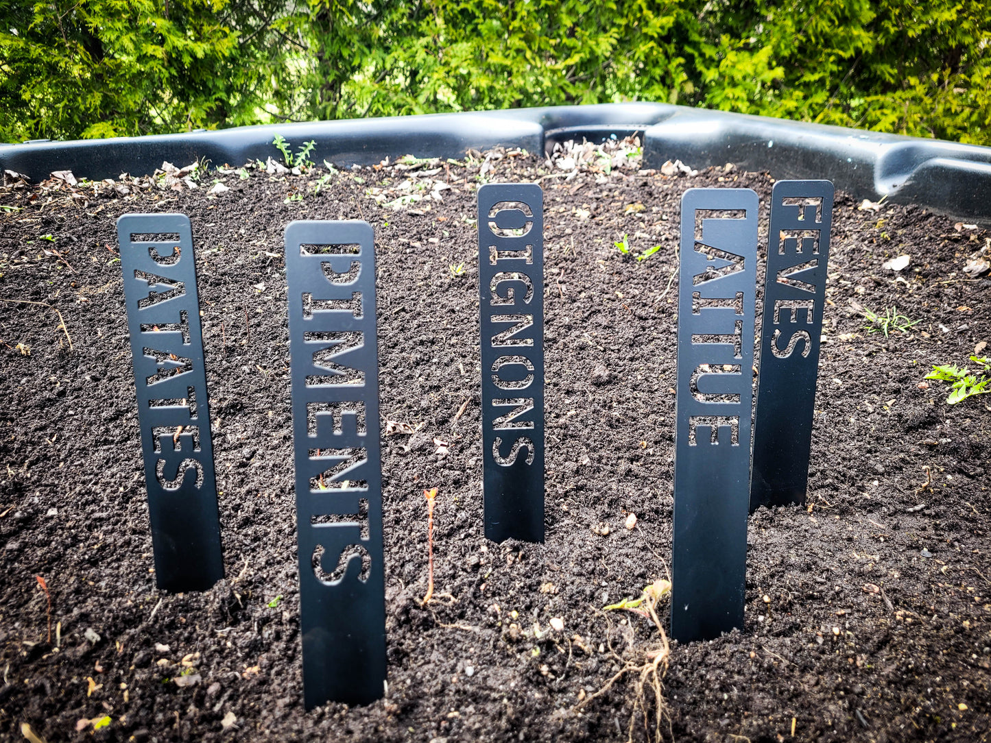 Ensemble d'étiquettes pour potager